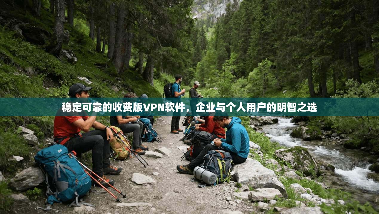 稳定可靠的收费版VPN软件，企业与个人用户的明智之选